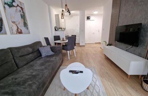 Banja Koviljaca Apartamento | Apartman Despot