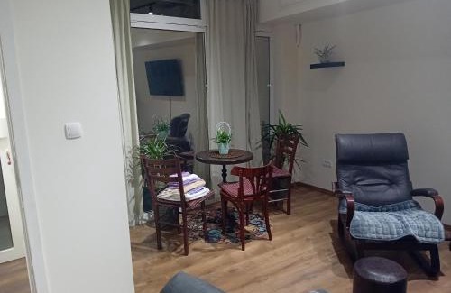 Vukov Spomenik Apartamento | Apartman Dimitrijala 52