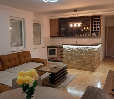 Uzice Apartamento | Apartman Dionis