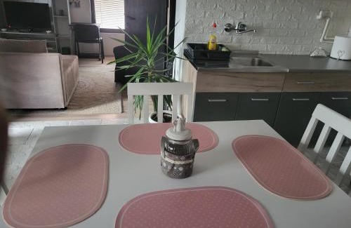 Pozarevac Apartamento | Apartman Djokic 1