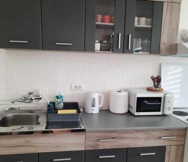 Pozarevac Apartamento | Apartman Djokic 3