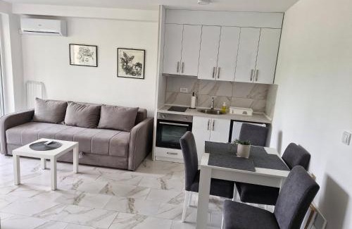 Veliko Gradiste Apartamento | Apartman Djole