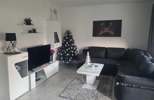 Arandelovac Apartamento | Apartman DORA