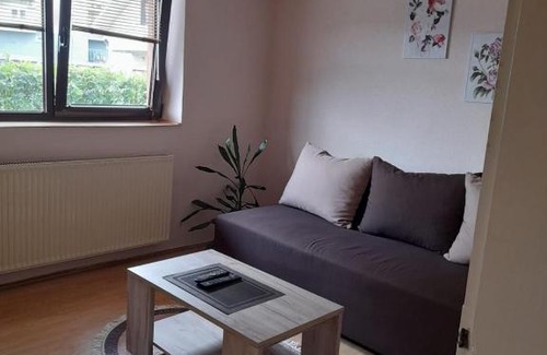 Vrnjacka Banja Apartamento | Apartman Dunja 002