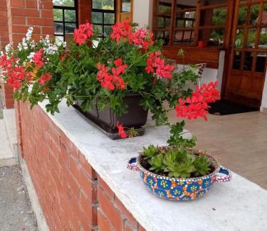 Mokra Gora Apartamento | Apartman Dunja i Miloš