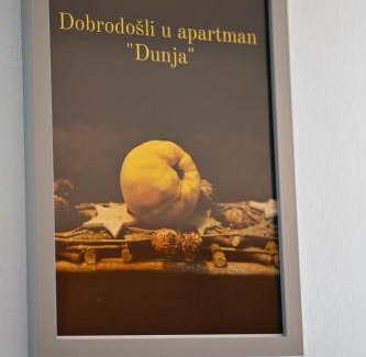 Kraljevo Apartamento | Apartman Dunja