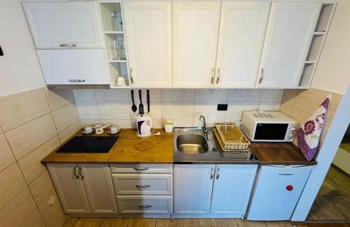 Pozarevac Apartamento | Apartman EMA
