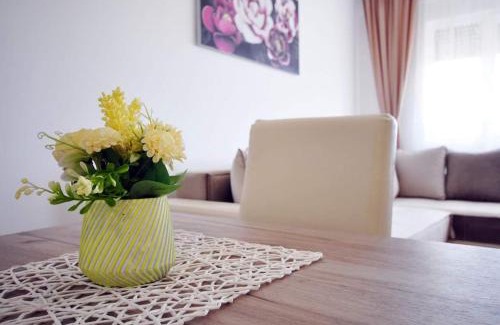 Vrnjacka Banja Apartamento | Apartman Filipović Vrnjačka Banja