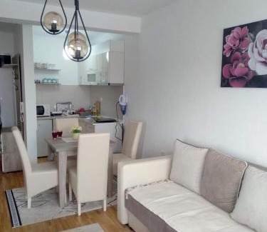 Vrnjacka Banja Apartamento | Apartman Filipović Vrnjačka Banja