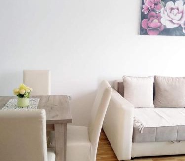 Vrnjacka Banja Apartamento | Apartman Filipović Vrnjačka Banja