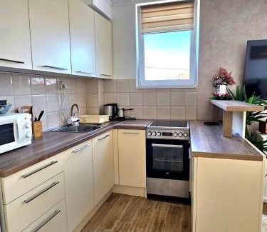 Stari Banovci Apartamento | Apartman Gaga