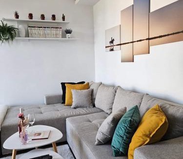 Stari Banovci Apartamento | Apartman Gaga