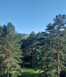 Divcibare Apartamento | APARTMAN GREEN HILLS 20