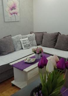 Vrnjacka Banja Apartamento | Apartman Harmonija Vrnjačka Banja
