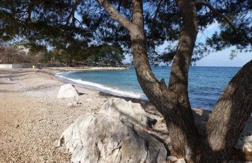 Zidarici Apartamento | Apartman Helen