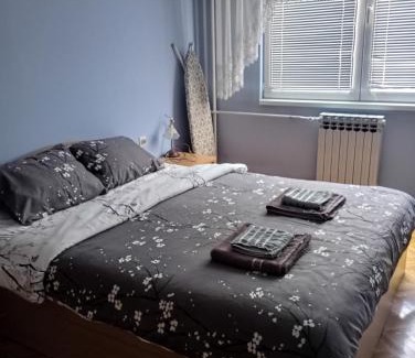 Pirot Apartamento | Apartman Icić