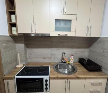 Gornja Toplica Apartamento | Apartman Ilić