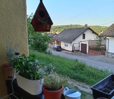 Vrdnik Apartamento | Apartman IVANA