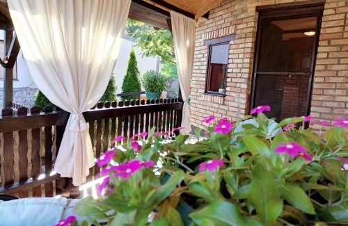 Vrdnik Apartamento | Apartman IVANA