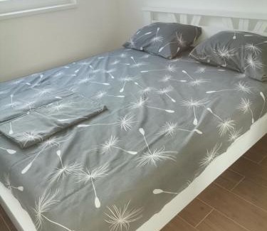 Veliko Gradiste Apartamento | Apartman Janković