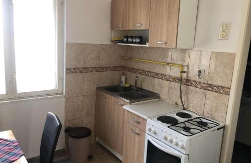 Vrbas Apartamento | Apartman Jankovic