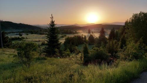 Zlatibor Apartamento | Apartman JELA Jabuka
