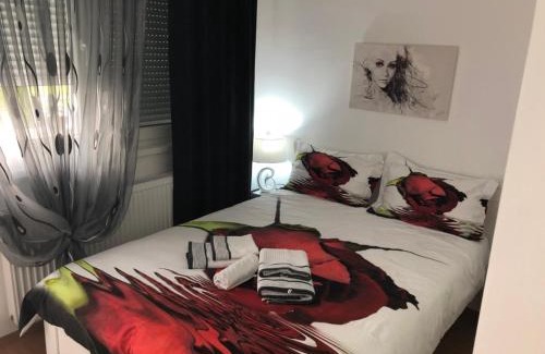 Banja Koviljaca Apartamento | Apartman Jezdić