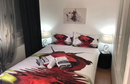 Banja Koviljaca Apartamento | Apartman Jezdić