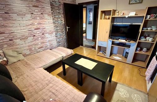 Vrujci Apartamento | Apartman Jovičić Banja Vrujci