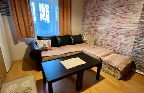 Vrujci Apartamento | Apartman Jovičić Banja Vrujci
