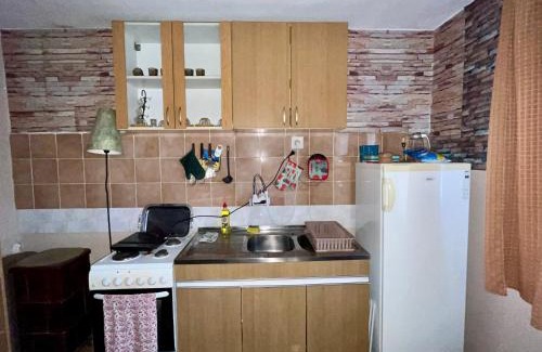 Vrujci Apartamento | Apartman Jovičić Banja Vrujci