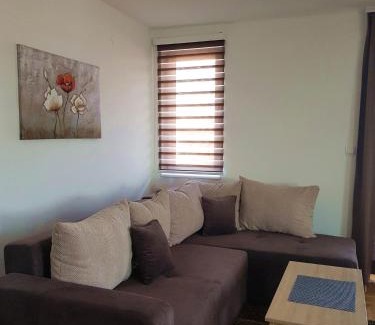 Vrnjacka Banja Apartamento | Apartman Kala