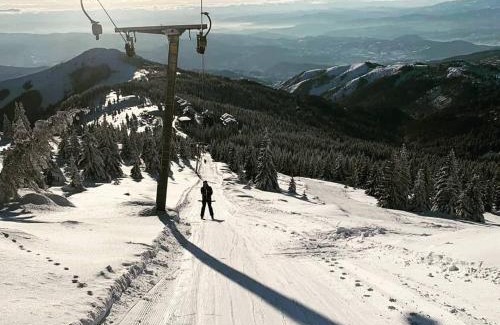 Kopaonik Apartamento | Apartman Kalina Suncani Breg