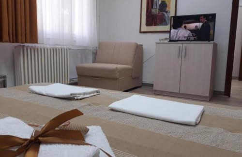 Leon Apartamento | Apartman Karadjordje
