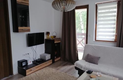 Kopaonik Apartamento | Apartman Košuta, Kopaonik