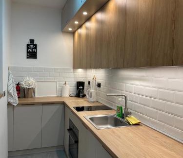 Rogaca Apartamento | Apartman Kosmajska Vila