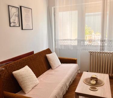 Soko Banja Apartamento | Apartman Lili