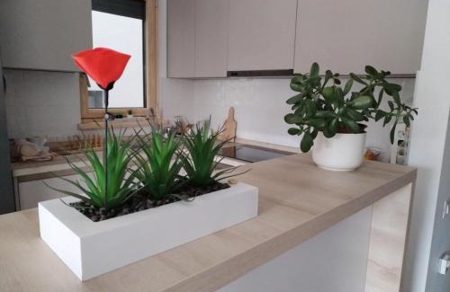 Zvezdara Apartamento | Apartman Lion