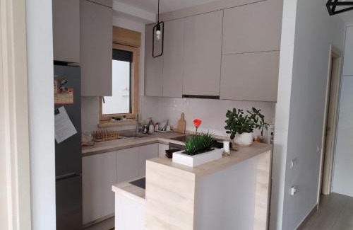 Zvezdara Apartamento | Apartman Lion