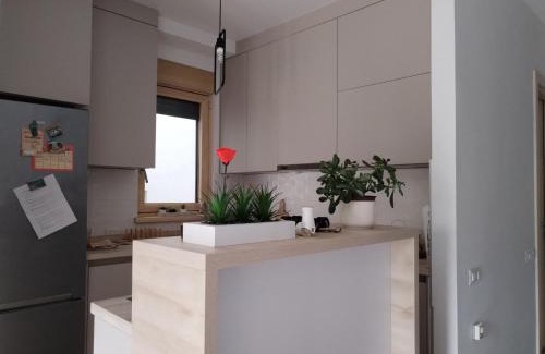 Zvezdara Apartamento | Apartman Lion