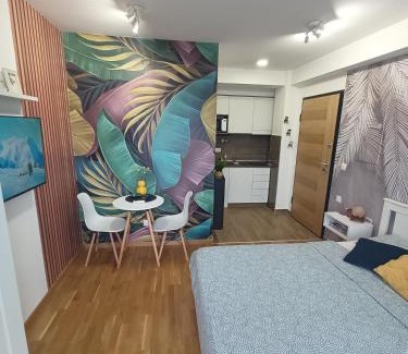 Jagodina Apartamento | Apartman Luxor