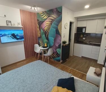 Jagodina Apartamento | Apartman Luxor