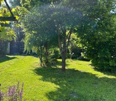 Stari Banovci Apartamento | Apartman Maša