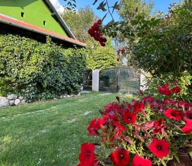 Stari Banovci Apartamento | Apartman Maša