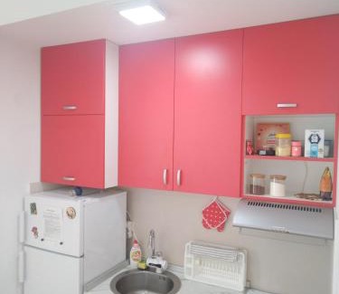 Veliko Gradiste Apartamento | Apartman Markovic Silver Lake