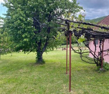Mokra Gora Apartamento | Apartman Matija, Mokra Gora