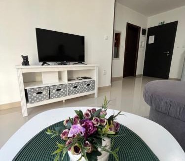 Veliko Gradiste Apartamento | Apartman Miletic
