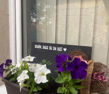 Pozarevac Apartamento | Apartman MILI