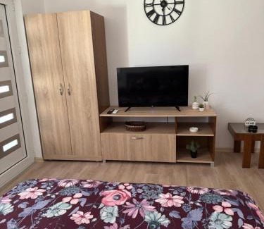 Banja Koviljaca Apartamento | Apartman Milinkovic