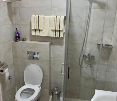 Banja Koviljaca Apartamento | Apartman Milinkovic